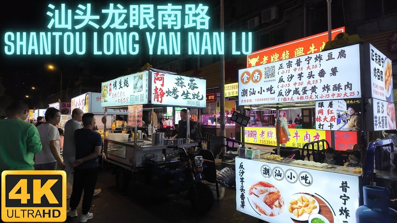 汕头 龙眼南路 Long Yan Nan Lu【4K】