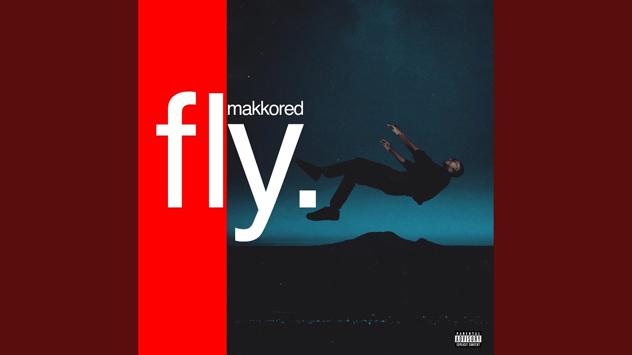 fly.