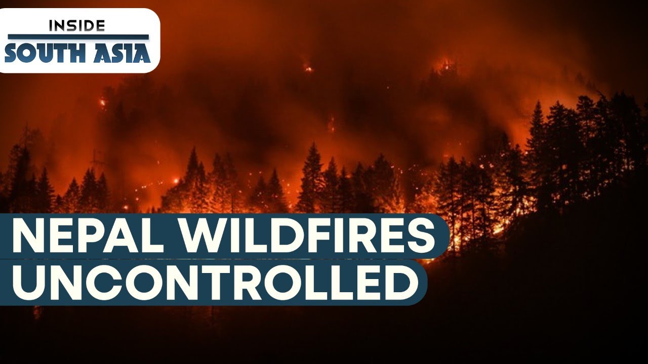 Why is Nepal unable to control wildfires? | Inside South Asia