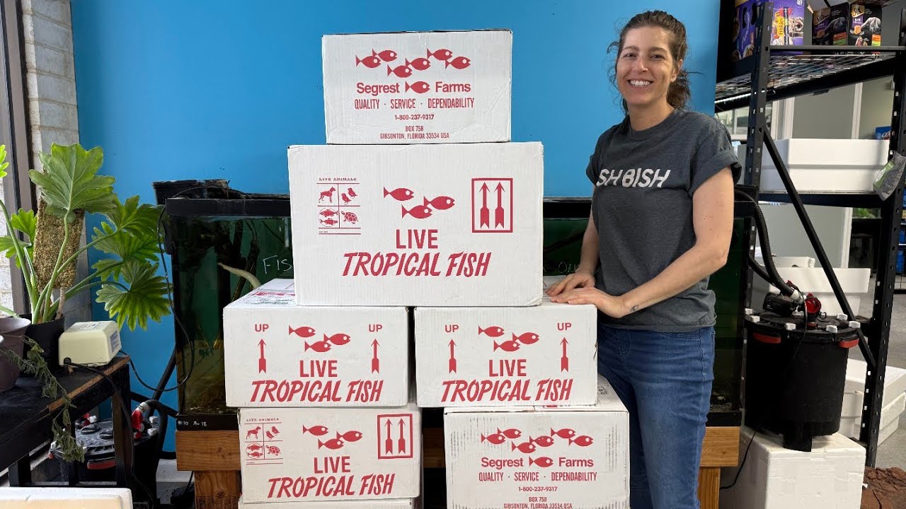 Giant Unboxing with Megan & Dan! Lots of New Fish!