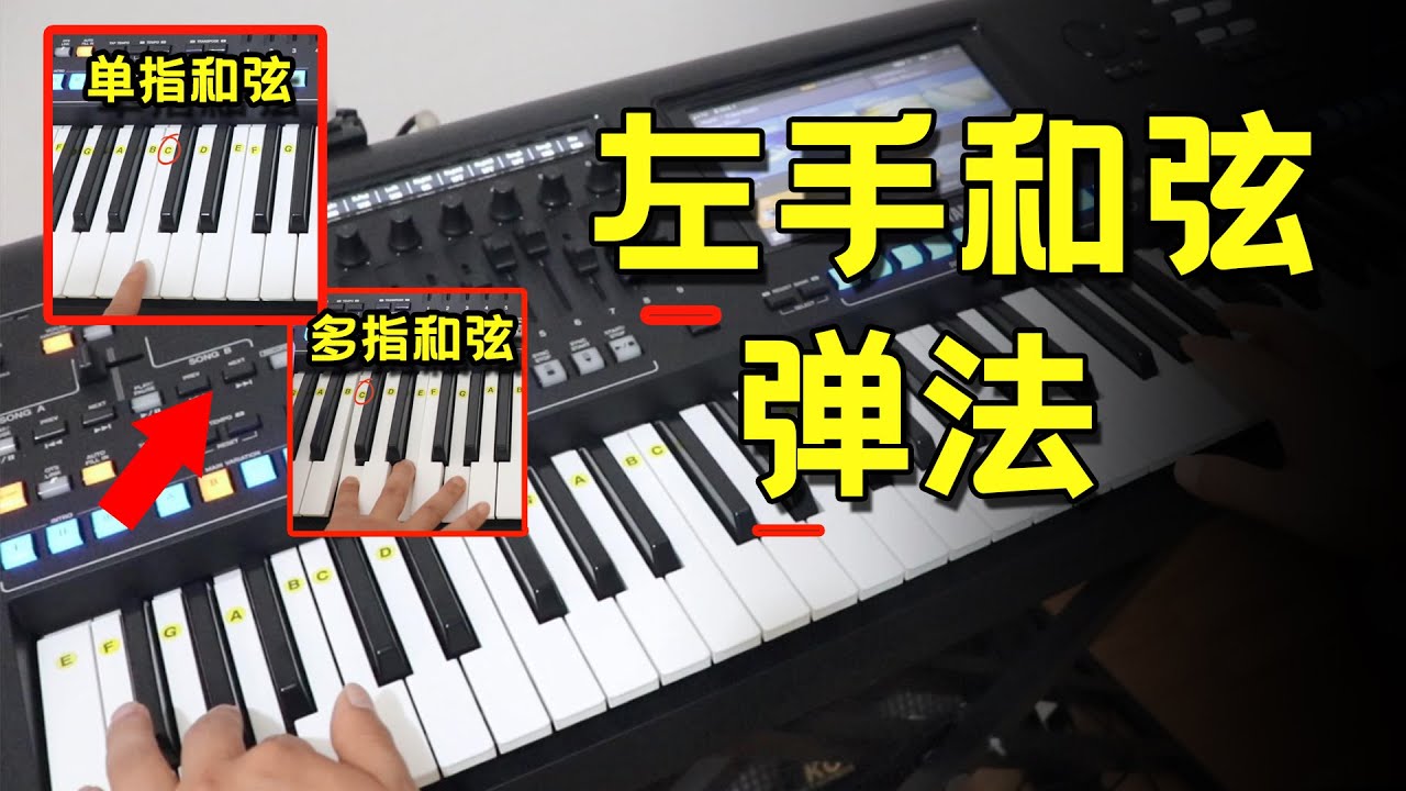 【电子琴】左手和弦怎么弹，看完，入门够用了！