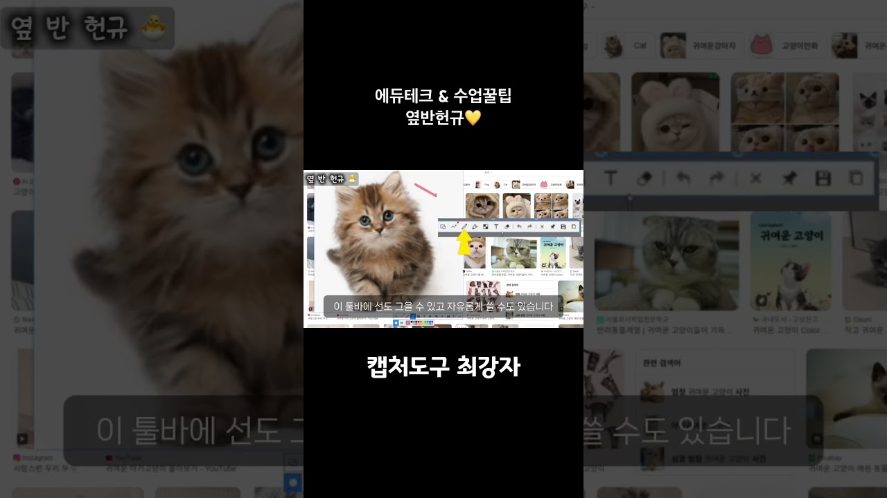 캡처 도구 최강자 등장! #snipaste #캡처 #교사 #에듀테크 #꿀팁 #생산성