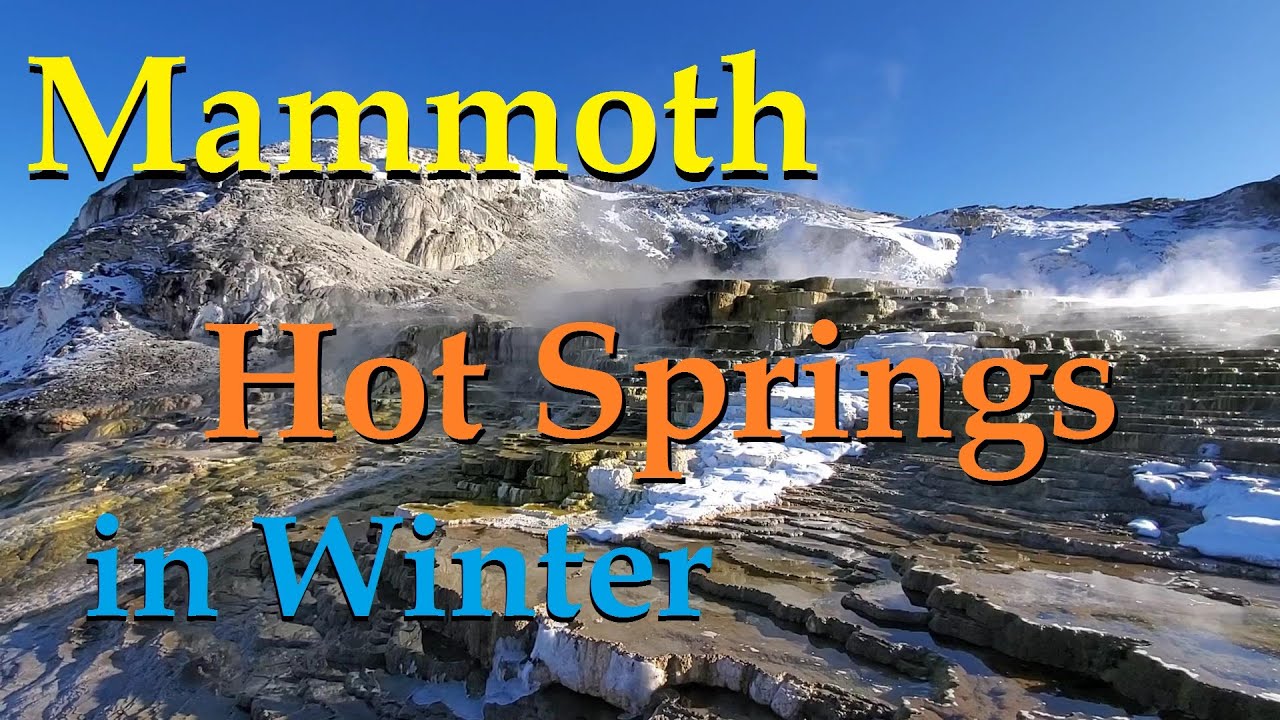 Mammoth Hot Springs in Winter (Yellowstone National Park)
