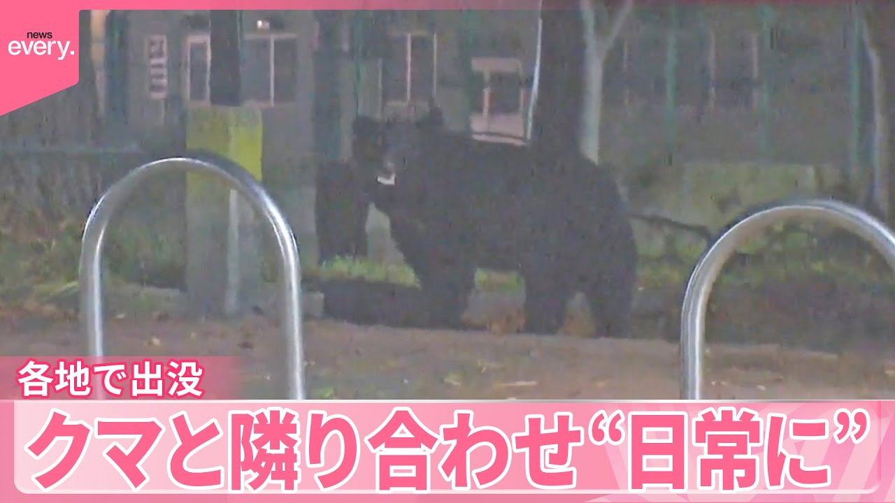 【クマ出没】“もはや日常”  駅のトイレまで…男性襲われ負傷  入り口からクマが“のぞき込む”