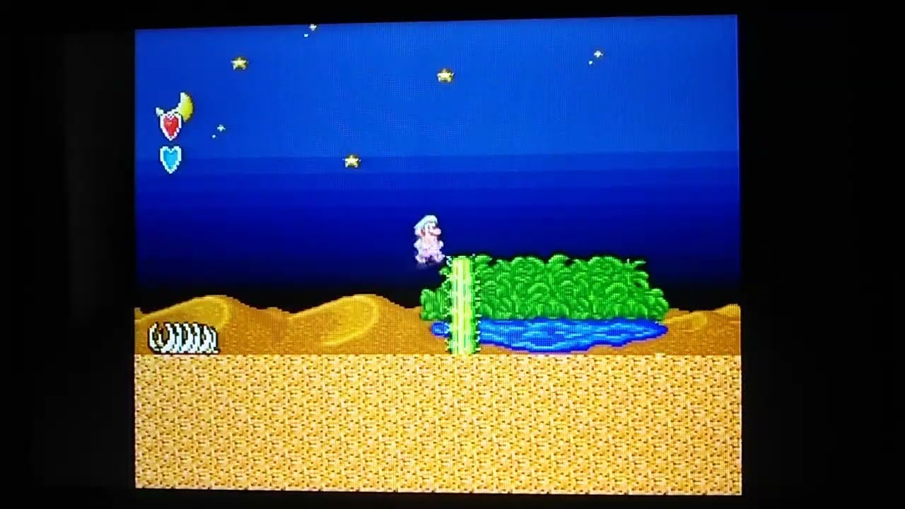 スーパーマリオコレクション #16