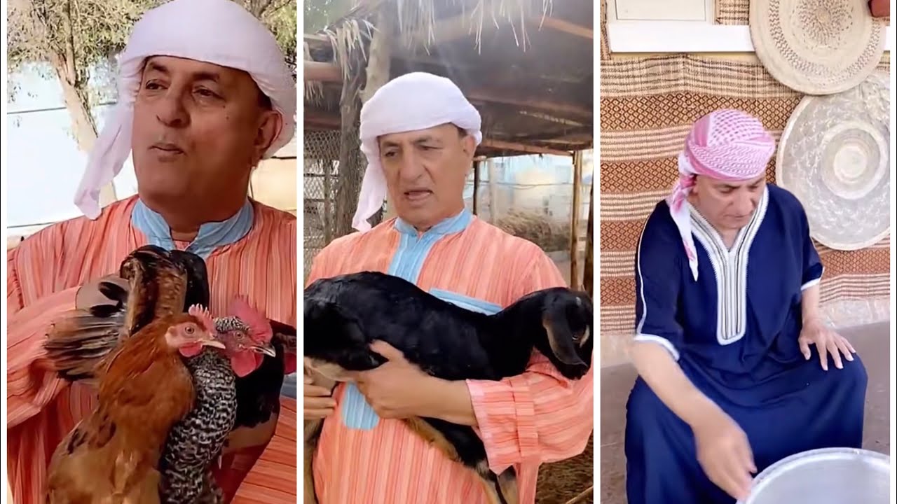 يوم كامل في المزرعة .. وطبخة صالونة الدجاج الطازج .. سوالف الشيف خالد حرية