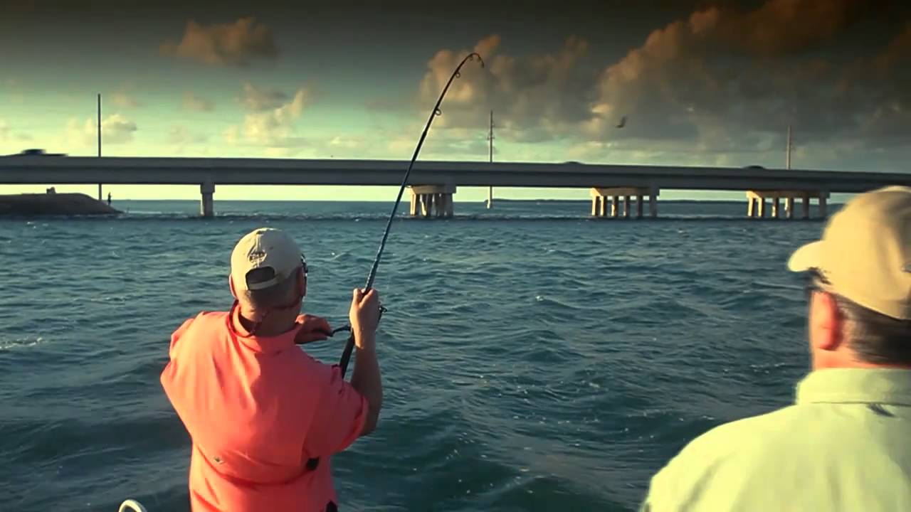 :: Sport Fishing TV :: Diablo 550 Spinning Reel