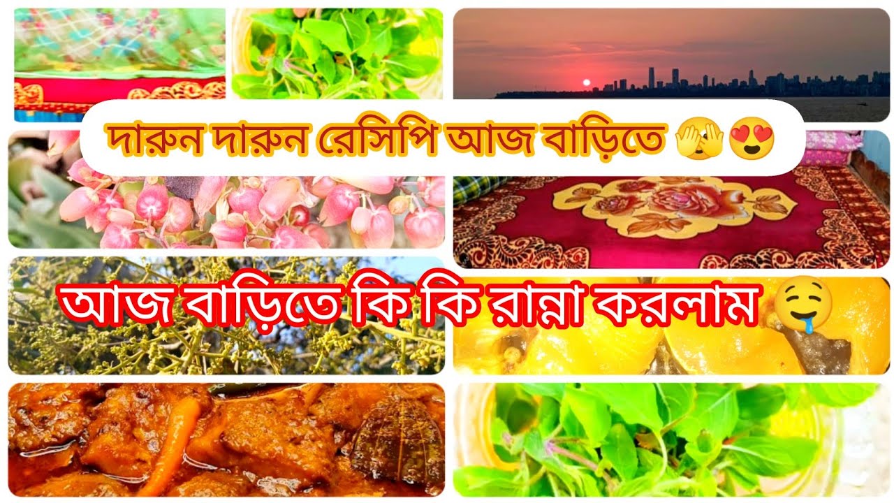 আজ বাড়িতে সকাল থেকে সন্ধ্যা পর্যন্ত কি কি করলাম ফুল vlog ইন্টারেস্টিং ভিডিও🤩😇না দেখলে মিস করবেন 🫣😍