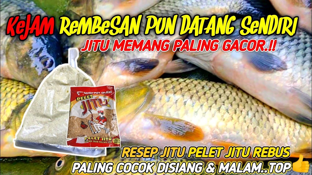 KEJAMNYA JITU MERAH REBUS‼️RACIKAN UMPAN JITU MANCING IKAN MAS LOMBA|TES LANGSUNG