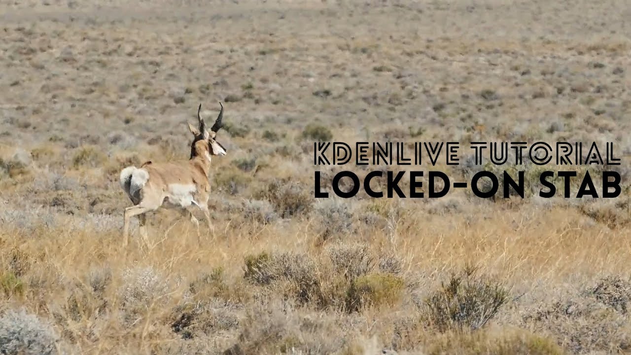 Kdenlive Tutorial - Locked-on Stabilization