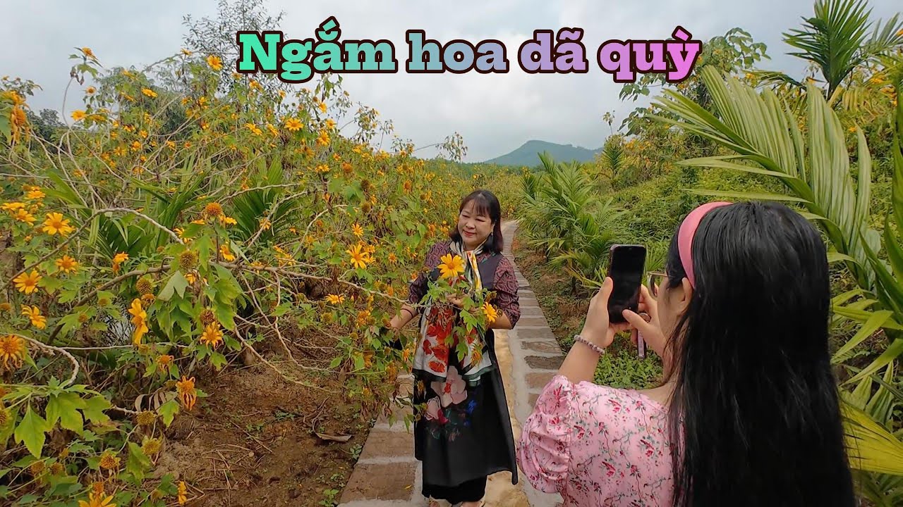 Lên đồi hoa dã quỳ gặp món dê nướng siêu ngon