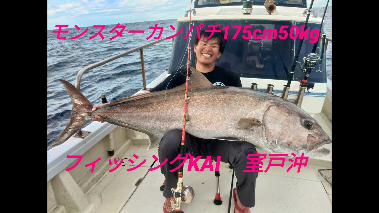 モンスターカンパチ登場！175㎝50㎏　フィッシングKAI　室戸沖