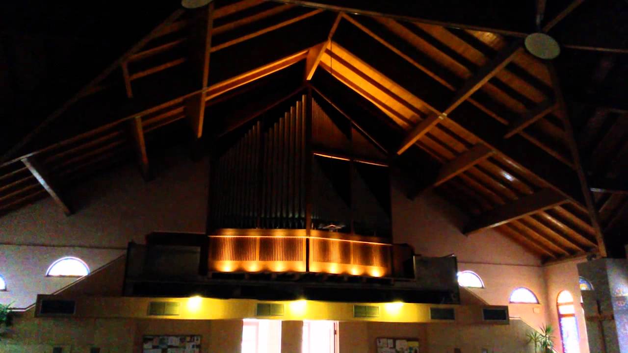 Richard Strauss - Also Sprach Zarathustra (opening) on church organ