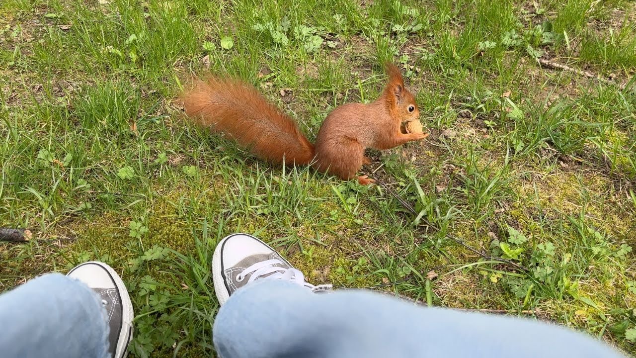 Alltagsmomente genießen... Kaufsucht-Tagebuch- Vlog
