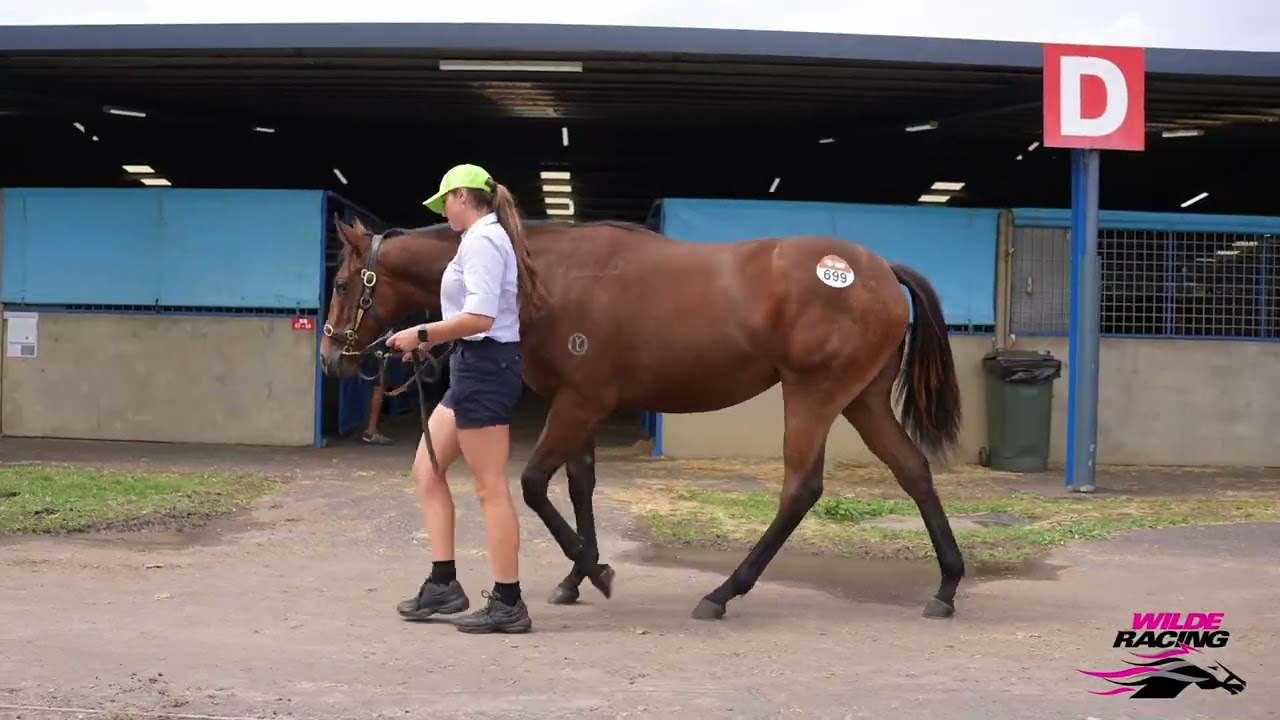 Lot 699 - Lucky Vega x Sacred Snow