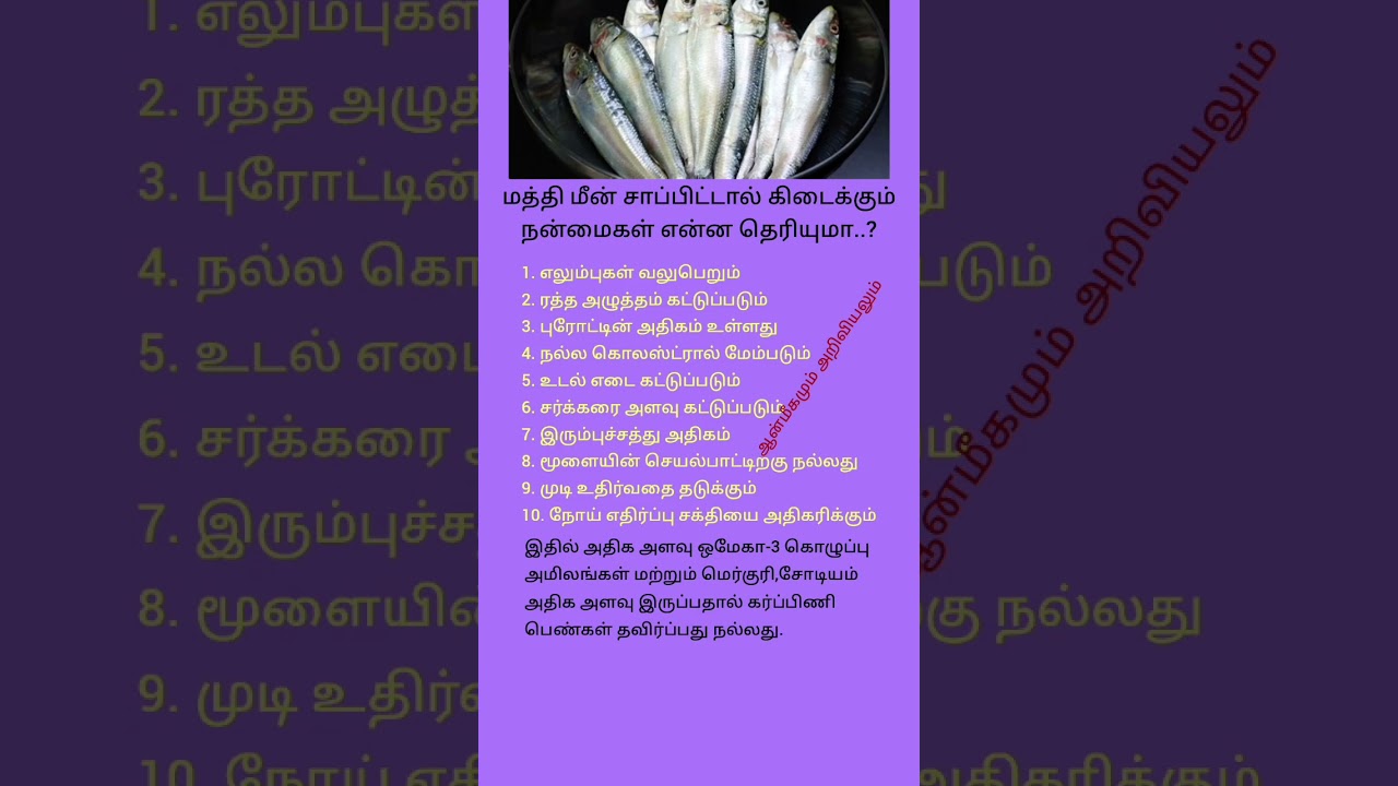 மத்தி மீன் சாப்பிட்டால் கிடைக்கும் நன்மைகள் என்ன தெரியுமா. ? #trending #tamil #shortsfeeed #viral