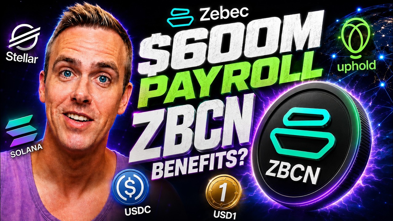 Zebec Network Hits $600M in Payroll - But Does It Actually Benefit ZBCN?