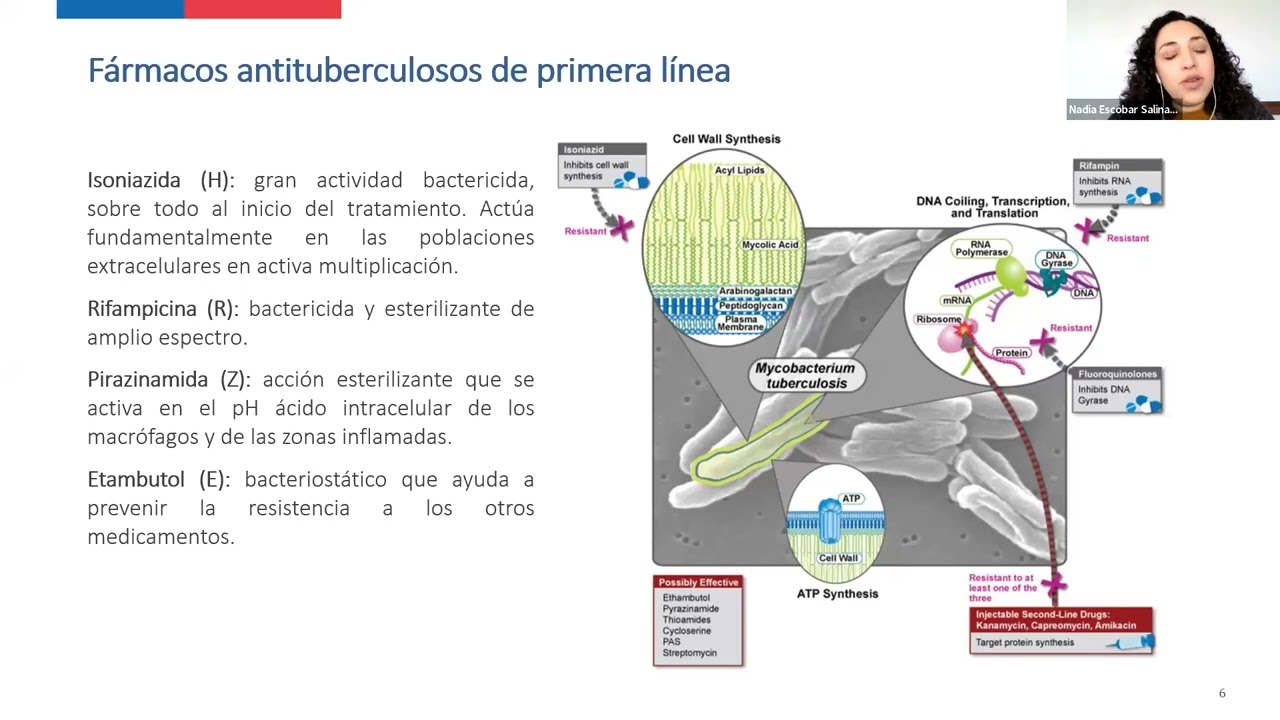 bloque 3: Tratamiento de la tuberculosis sensible a fármacos