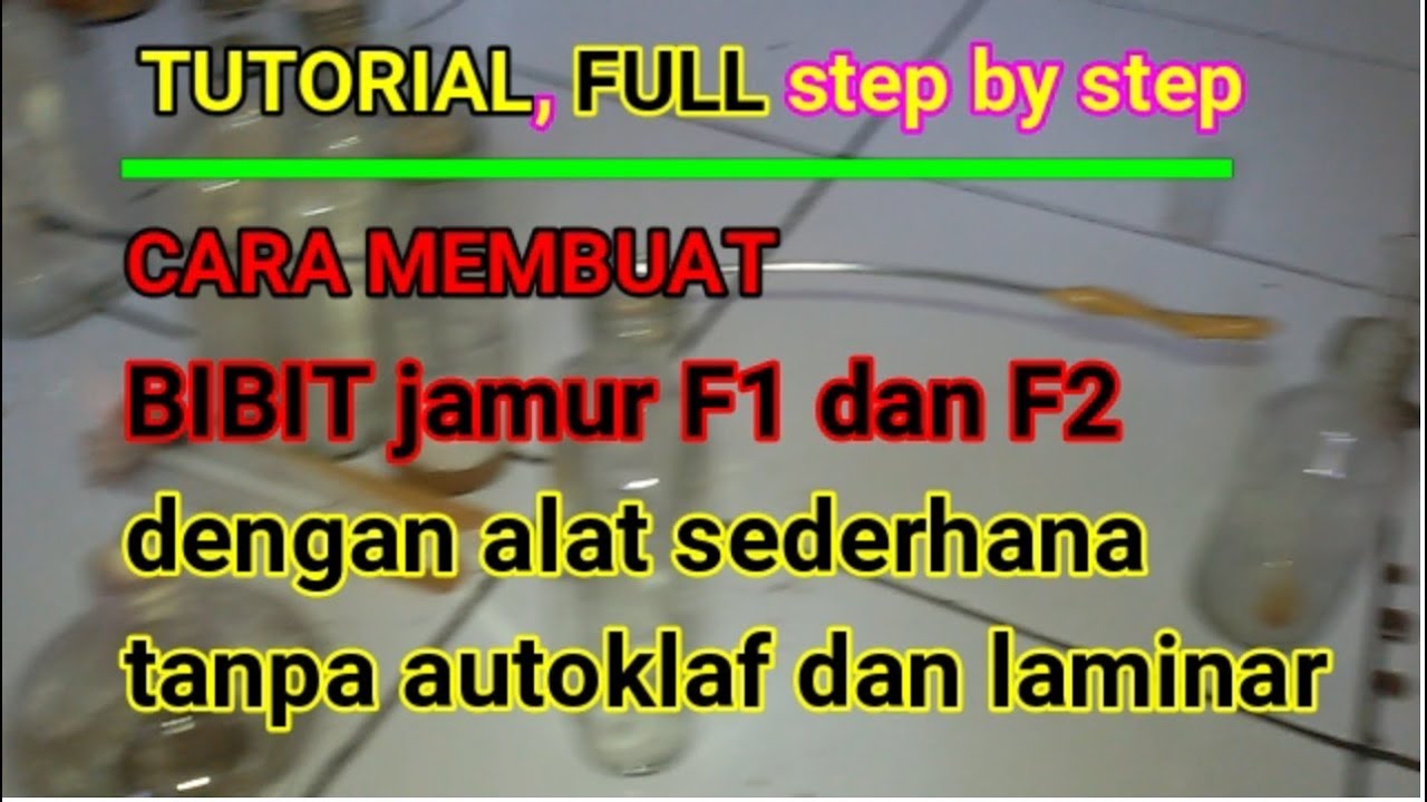 Tutorial Cara Membuat Bibit f1 dan f2 Jamur, step by step