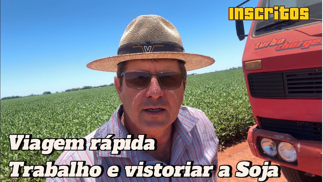 ✅ MATO GROSSO DO SUL SOJA SAFRA 24/25 -  NOSSAS ÁREAS.🇧🇷⛈️🙏