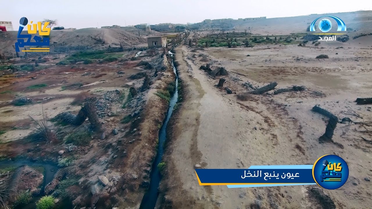 عيون ينبع النخل | كان معكم