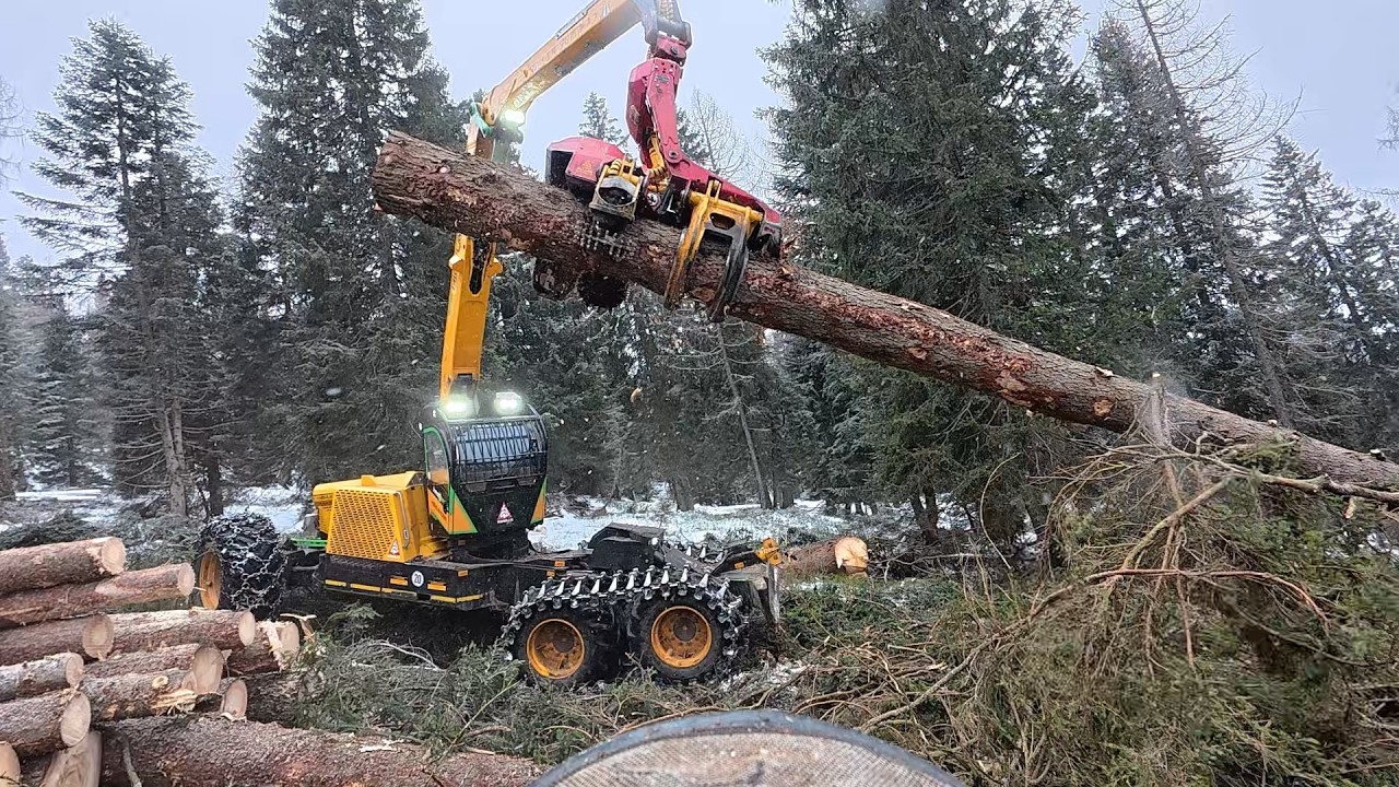 🌲 powercutting 🌲 forest peg - Highlander - Husky 564 XP [ 2 : # ]