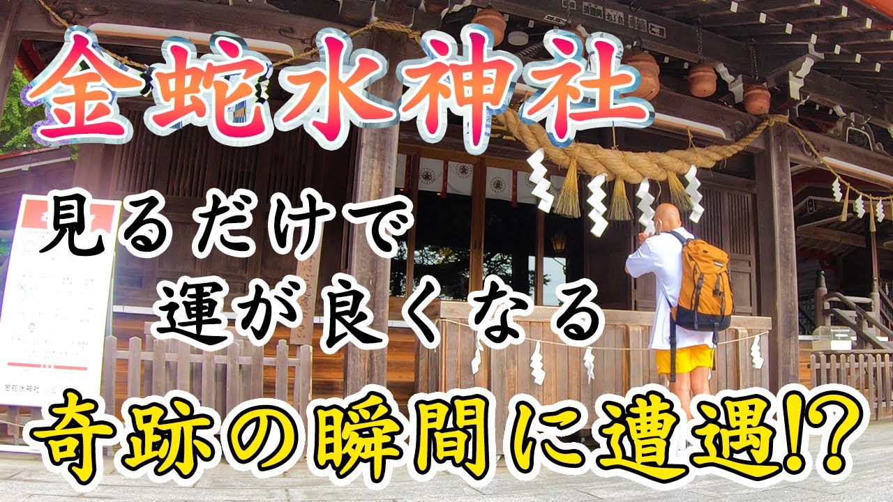 【金蛇水神社】貴重な瞬間の撮影に成功！見るだけでご利益全開！運が動いて運気上昇。神社参拝で運を良くしていきましょう！【Japanese culture】【Shinto shrine】