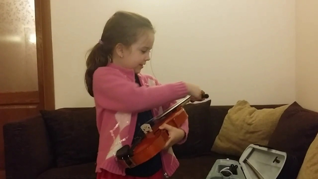 Din ce este compusa vioara ( Bijous)