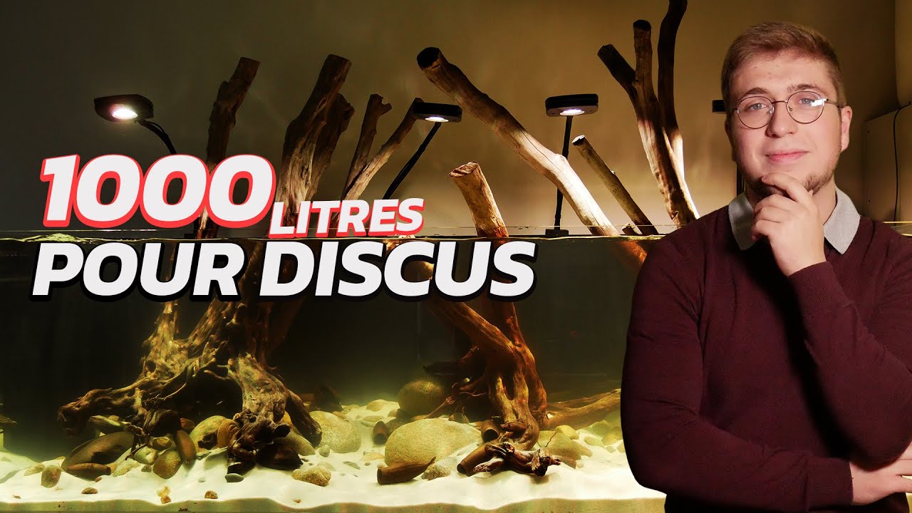 Réalisation aquarium 1000 litres pour discus (mon plus bel Aqua 🔥)