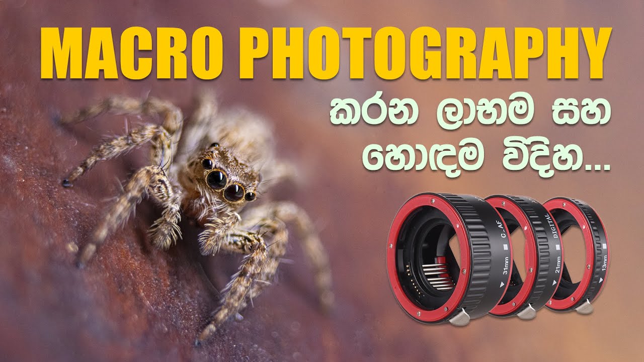 Macro Photography පටන් ගන්න හොදම සහ ලාභම විදිහ - Macro Extension Tube Sinhala Review