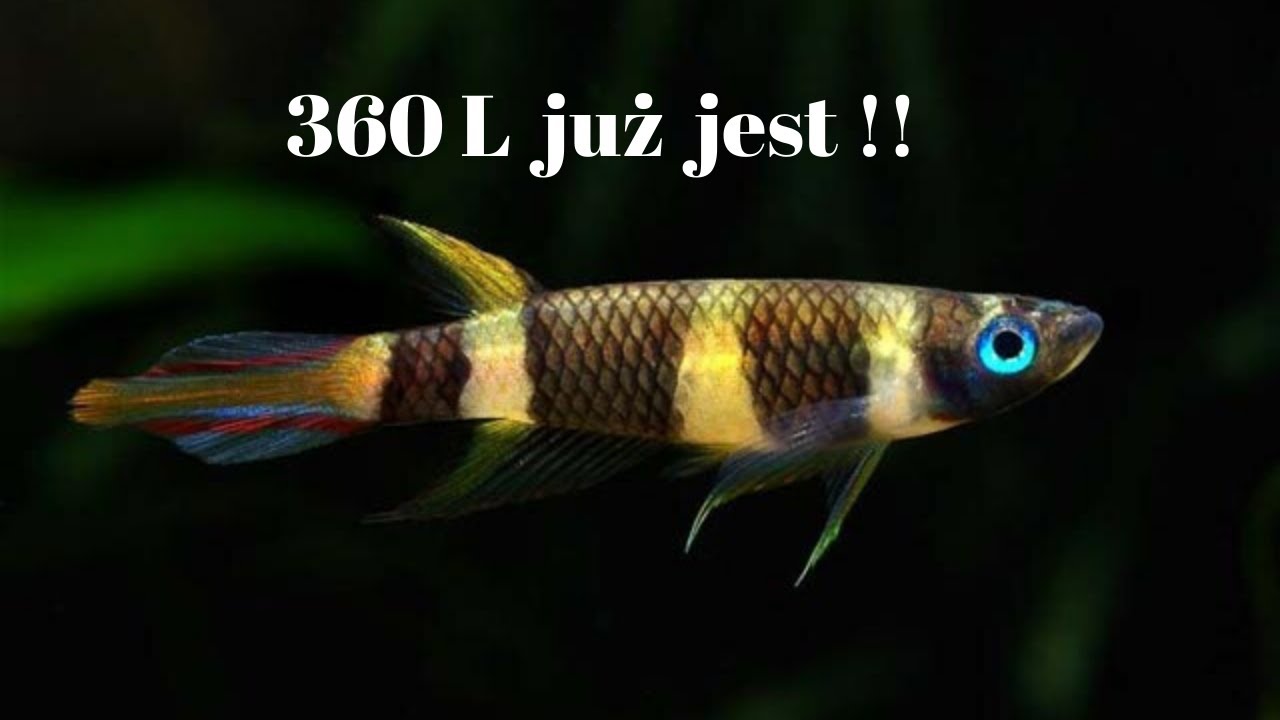 360L już stoi