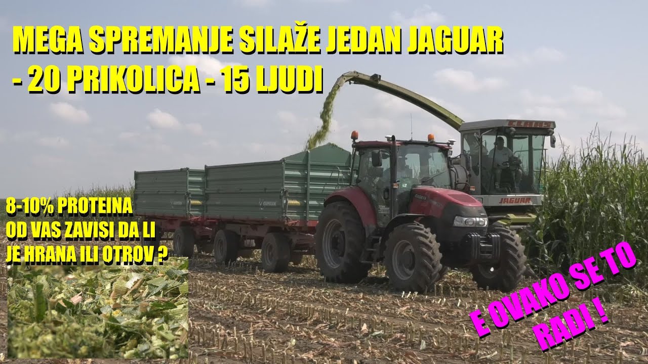 SPREMANJE SILAŽE - 20 prikolica i JEDAN JAGUAR  - kao DESANT - kako da je STVARNO DOBRO SPREMITE ??!