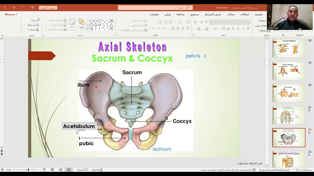 صلاح صالح تشريح الحوض وعظمة الترقوة 