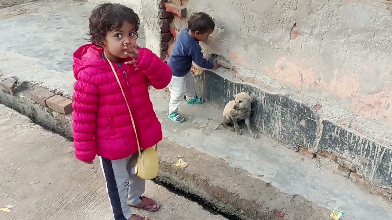 छोटे पिल्ले को नाली से निकला ट्रेंडिंग वीडियो