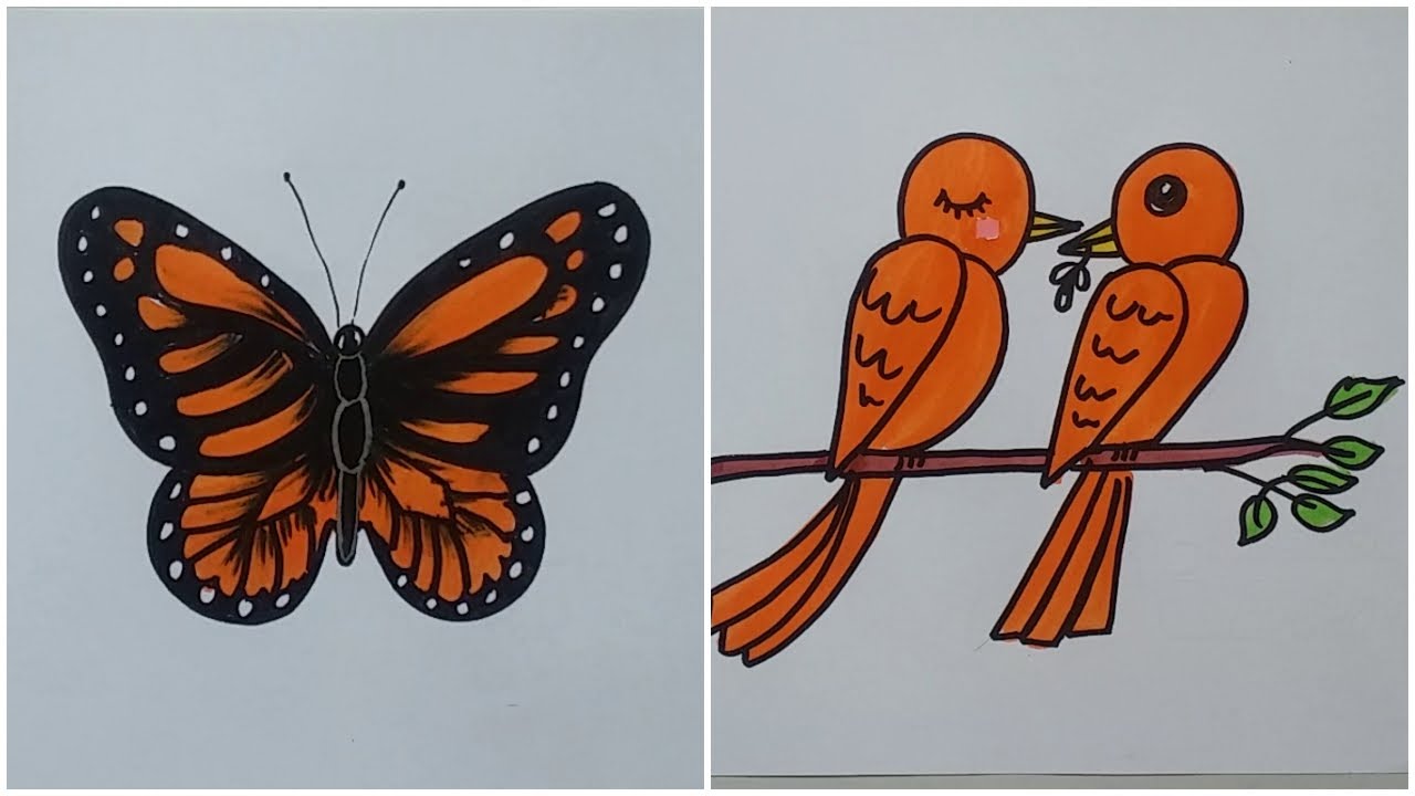 Easy Butterfly Drawing Ideas | Easy Bird Drawing Ideas for Beginners