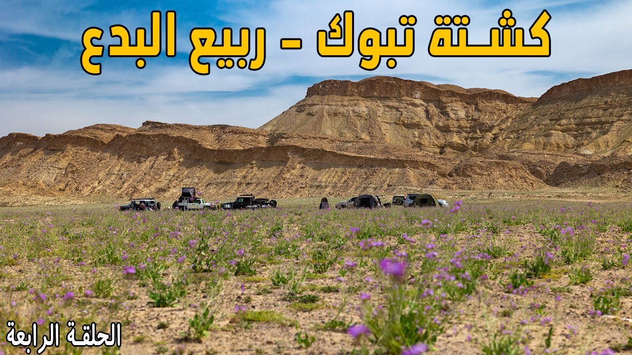 ربيع منطقة البدع | كشتة تبوك - الحلقة الرابعة