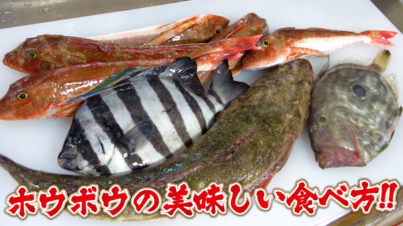 【豪華すぎ】イシダイ×ホウボウ×コチ×マトウダイで作った晩御飯が全部主役級になった