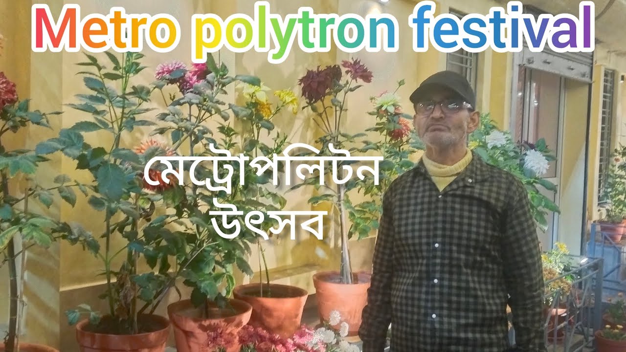 মেট্রোপলিটন উৎসব। Metropolitan festival,