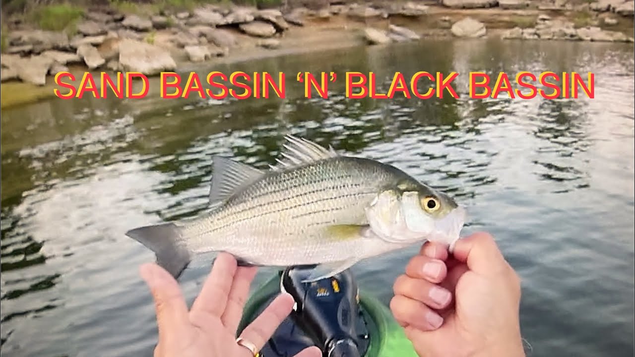 Sand Bassin N Black Bassin