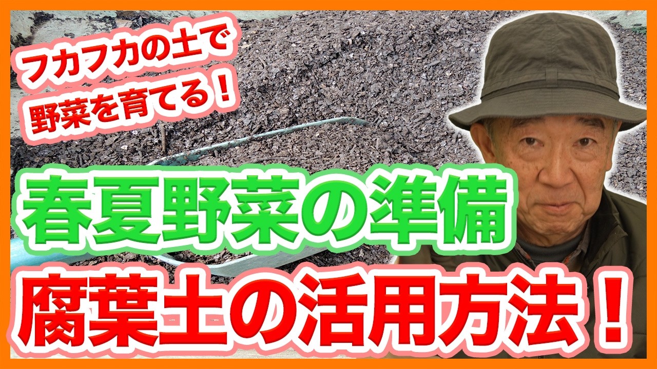 家庭菜園や農園の春夏野菜栽培の土をフカフカに！腐葉土の上手な活用方法と春夏野菜の育て方！【農家直伝】