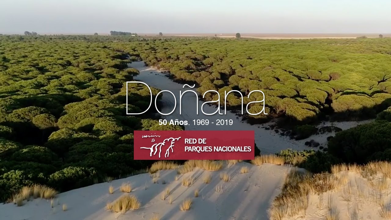 Parque Nacional de Doñana 💚  50 Aniversario