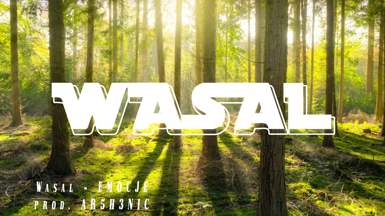 Wasal-EMOCJE prod.AR5H3N1C