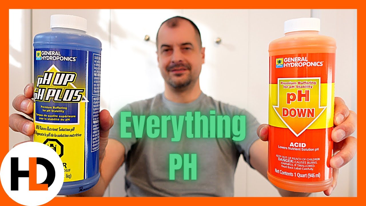 pH in Hydroponics: What NO ONE Tells You