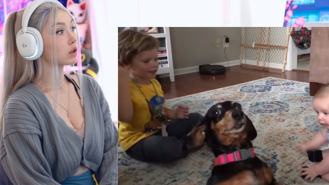 Funniest Internet Clips REACTION!!!