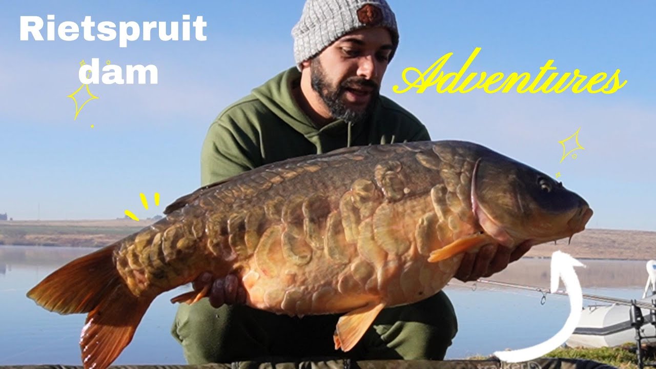 !!!!MONSTER CARP CAUGHT!!!!FISHING RIETSPRUIT DAM