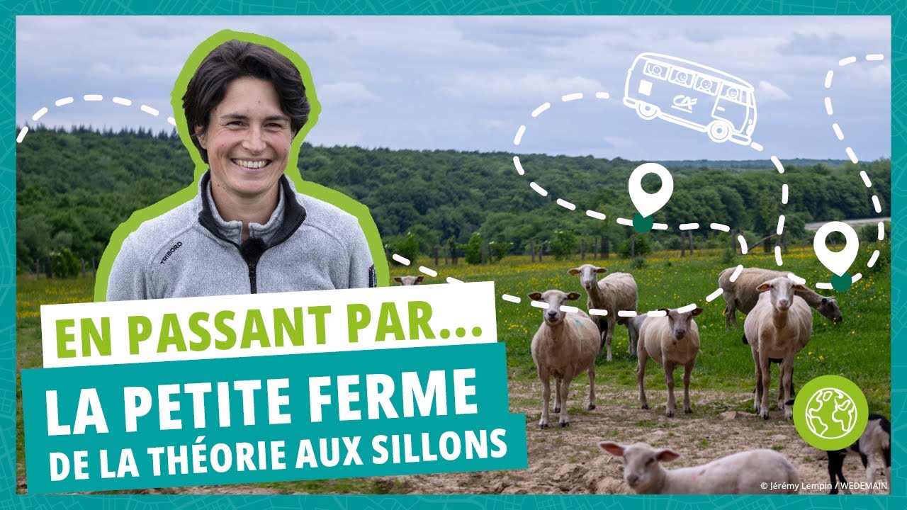 La petite ferme | De la théorie aux sillons