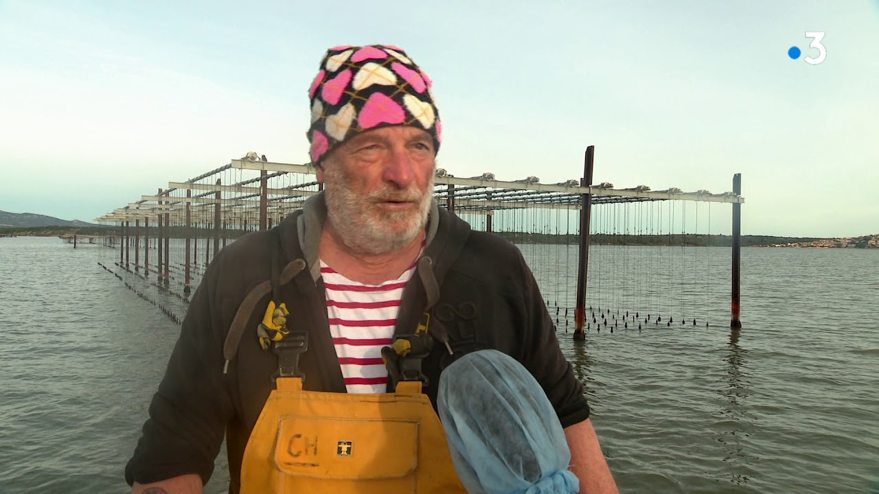 Bleue Occitanie sur Étang de Leucate pour les vols d'huîtres pendant les fêtes