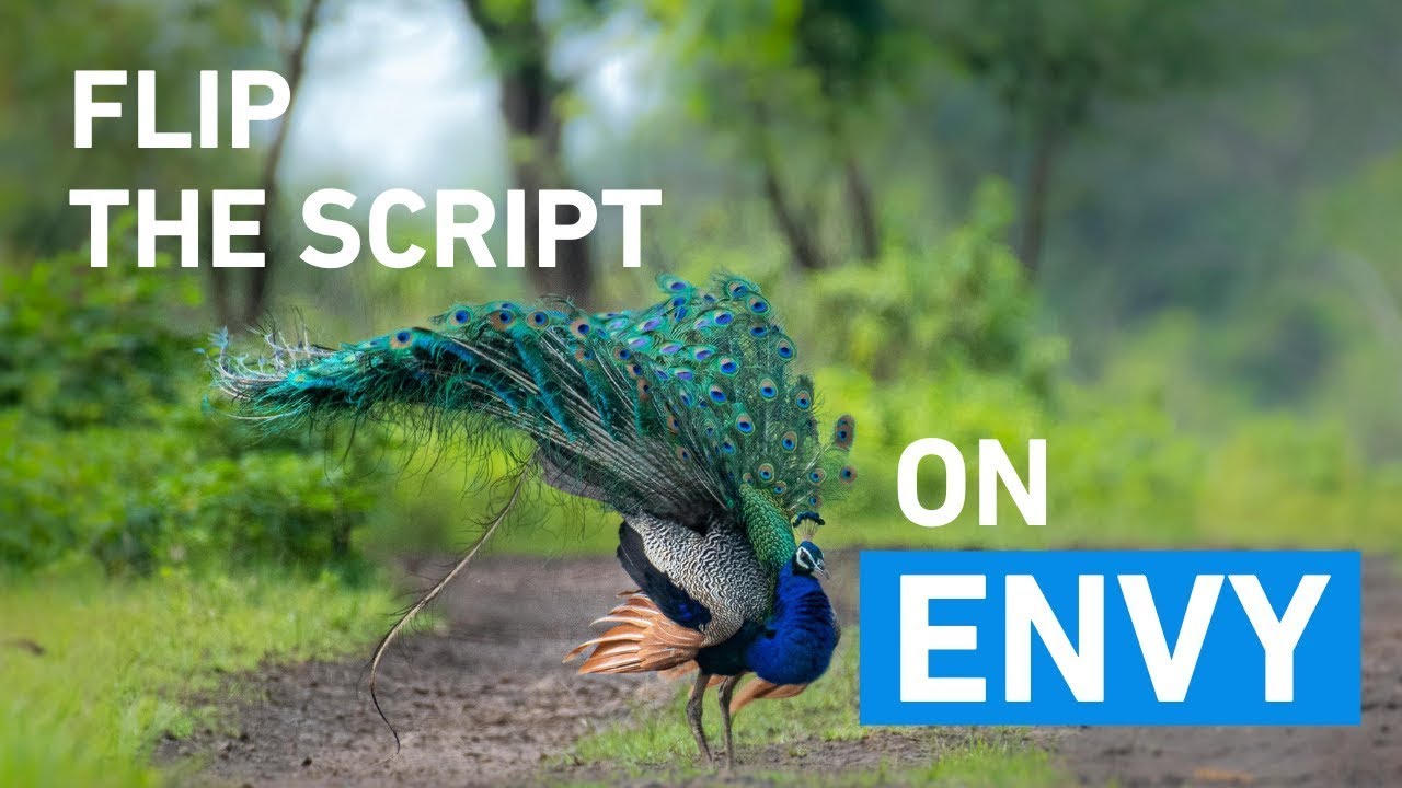 Flip the Script on Envy | Lp Sander | Buddhist wisdom | Thai Buddhism