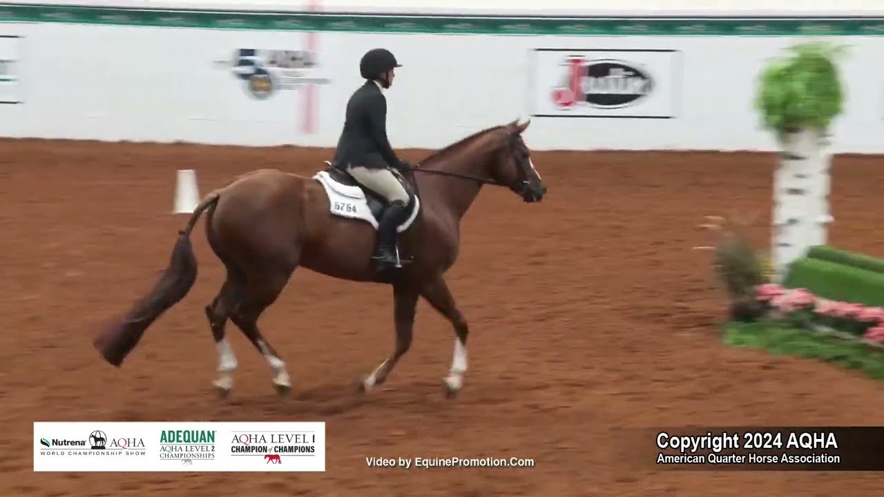 Amateur Hunter Hack - 2024 AQHA World Championship Show