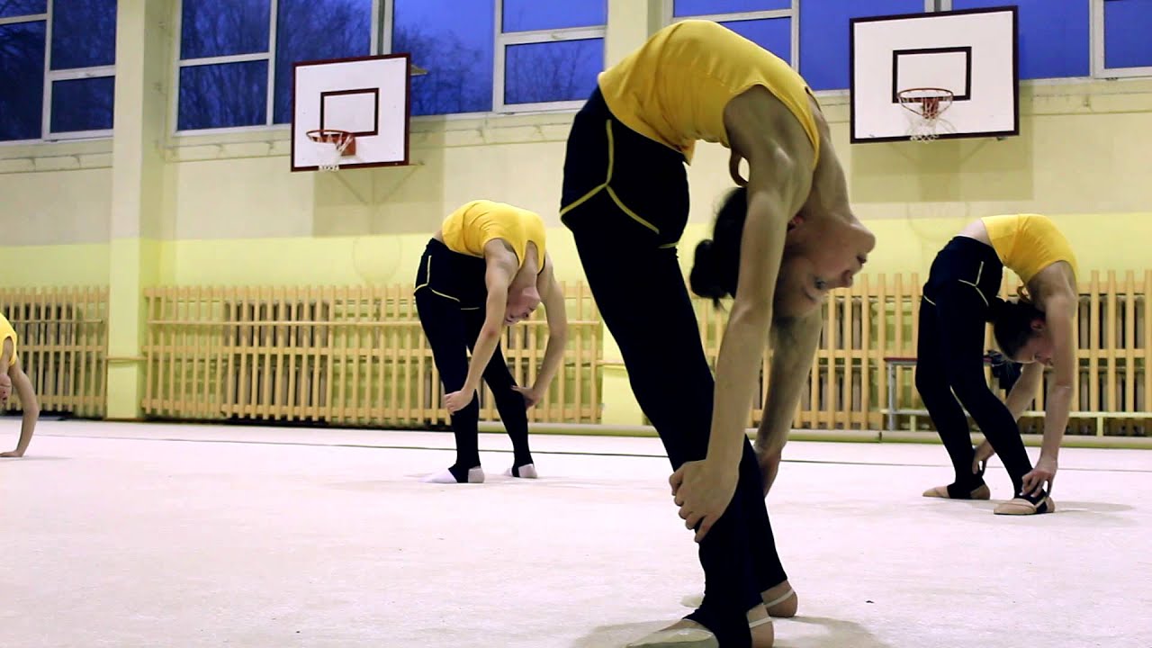 Meninės gimnastikos klubas 